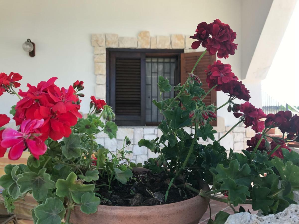Villa Rosa - Ai Piedi Dell'Etna Brucoli Exteriör bild